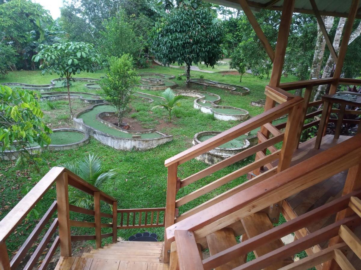 Hostal Suna Vito Puerto Asís Buitenkant foto