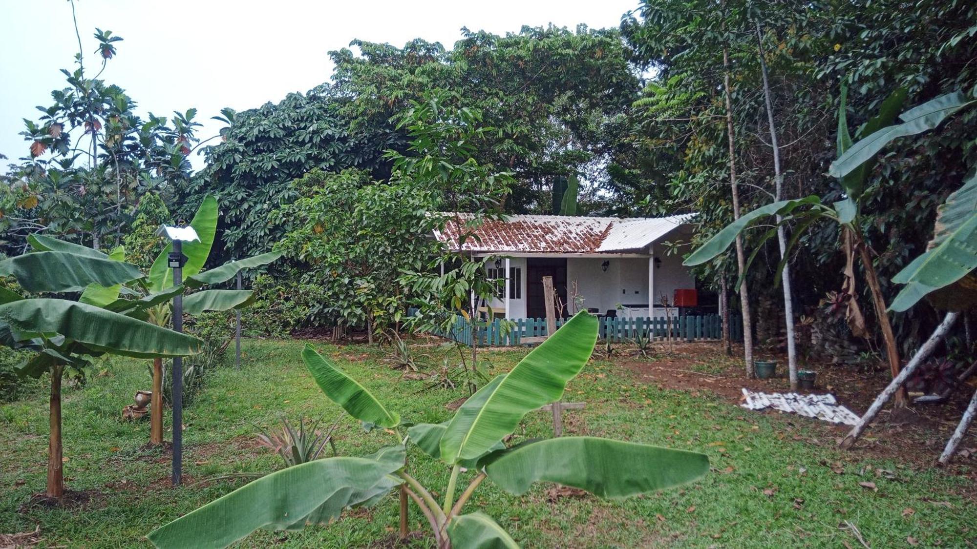 Hostal Suna Vito Puerto Asís Buitenkant foto