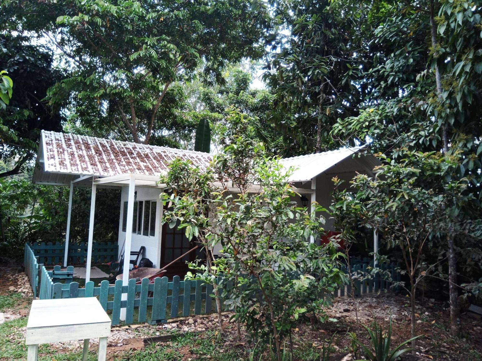 Hostal Suna Vito Puerto Asís Buitenkant foto