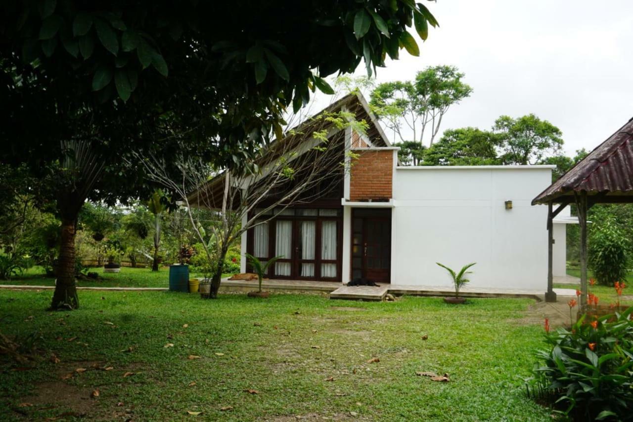 Hostal Suna Vito Puerto Asís Buitenkant foto